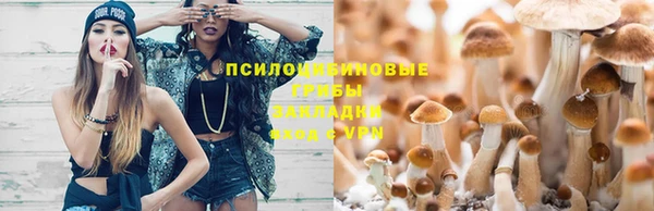 не бодяженный Белокуриха