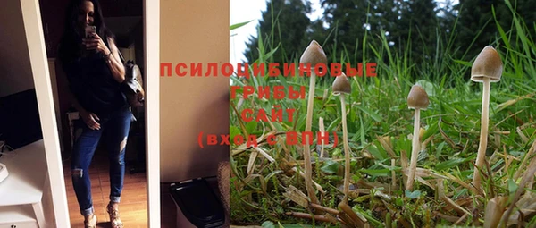 не бодяженный Белокуриха