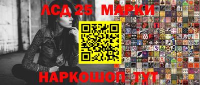 крисы Берёзовский