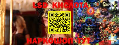 крисы Берёзовский