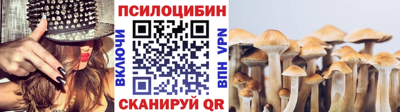 Галлюциногенные грибы Psilocybine cubensis  закладка  Воркута 