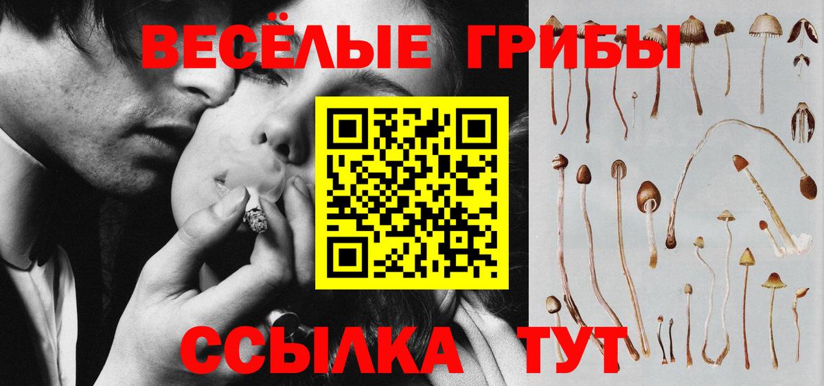 Псилоцибиновые грибы мухоморы  Воркута 