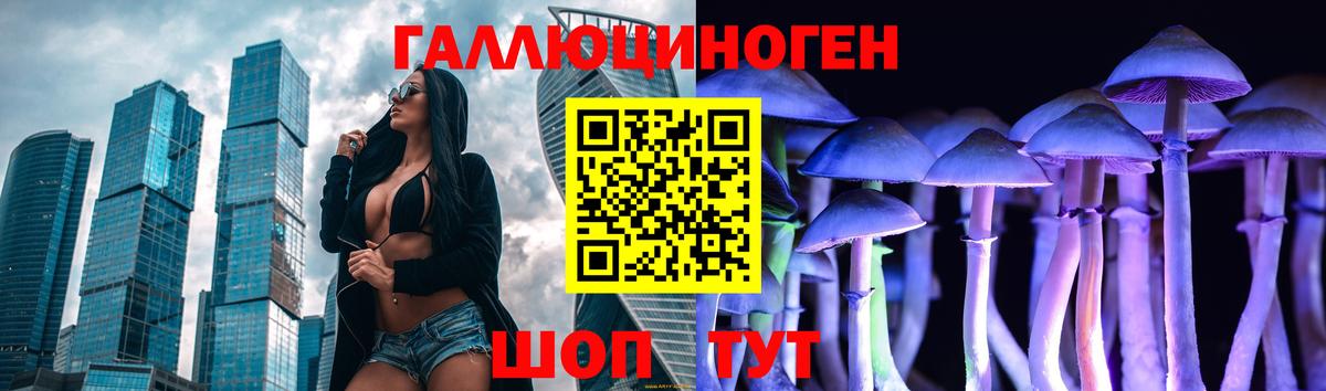 Галлюциногенные грибы Psilocybe Воркута